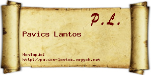 Pavics Lantos névjegykártya
